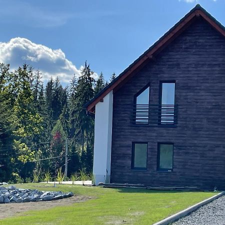 Willa Jaworzynka 1103 K Istebnej Exteriör bild