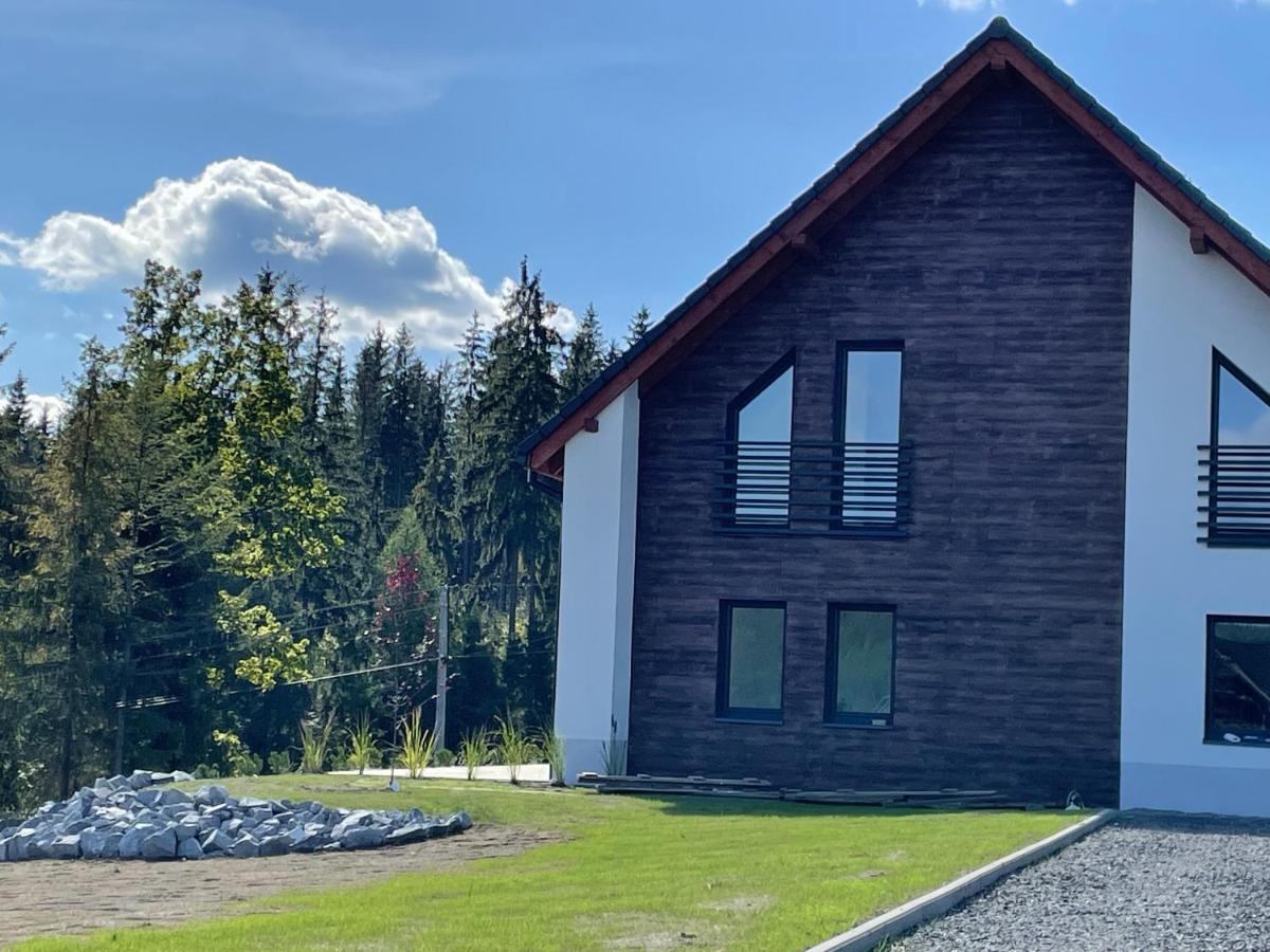 Willa Jaworzynka 1103 K Istebnej Exteriör bild